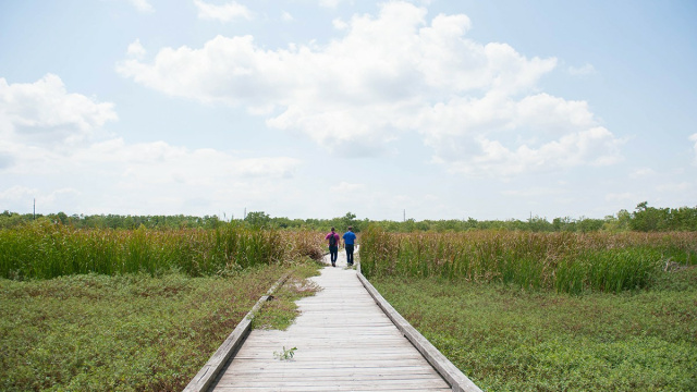 Creole Nature Trail
