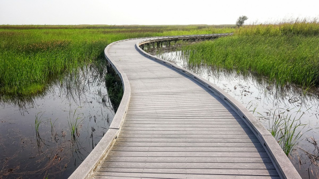 Sabine National Wildlife Refuge