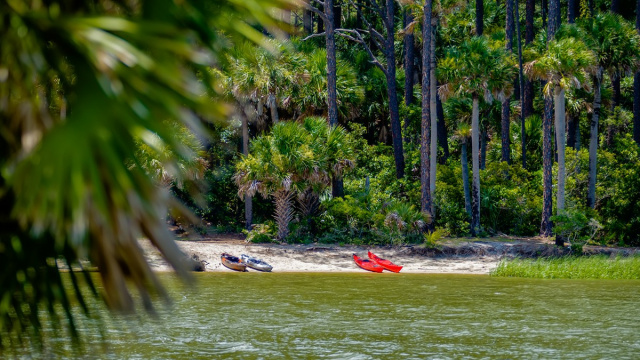 Palmetto Island State Park