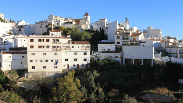 CANILLAS DE ACEITUNO
