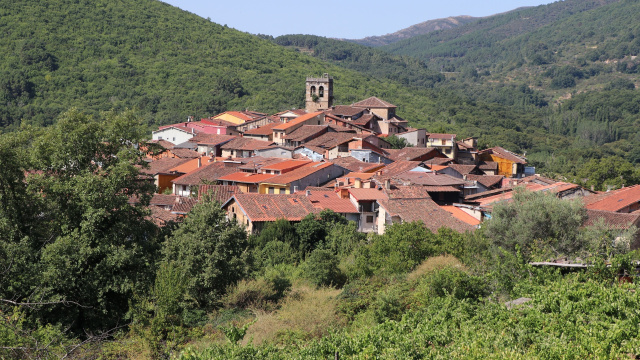CEPEDA