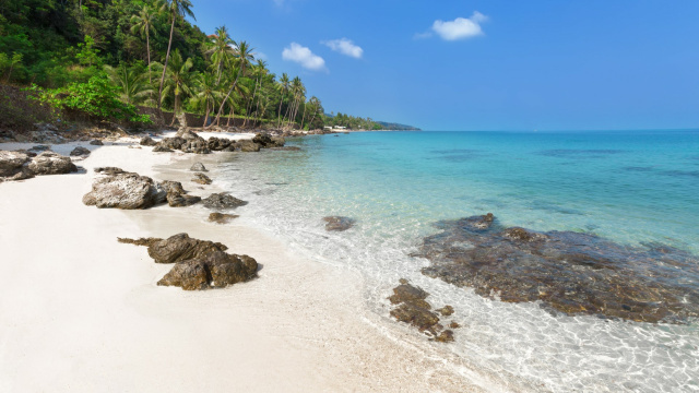 Isla Catalina