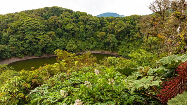 Parque Nacional Braulio Carrillo