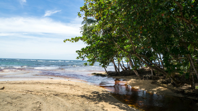 Selva Gandoca-Manzanillo