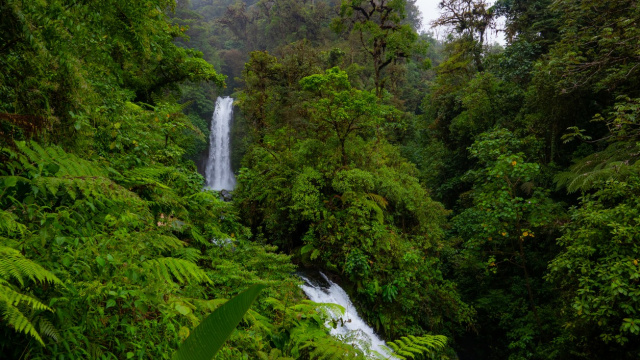 La Paz Waterfall Gardens