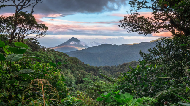 Monteverde