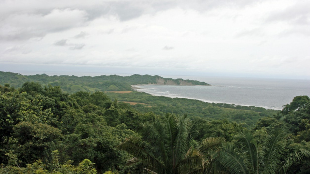 Nosara