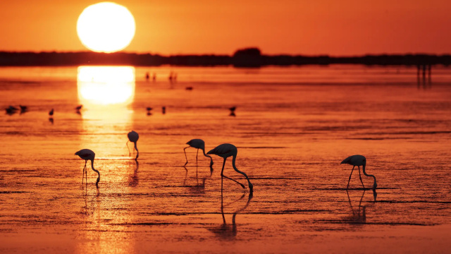 Etapa 4 – En el Delta de l’Ebre