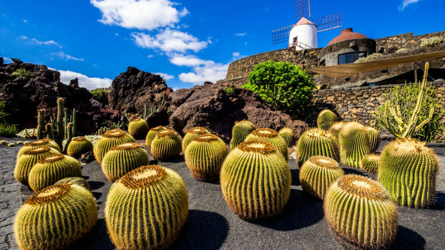 Jardín de Cactus