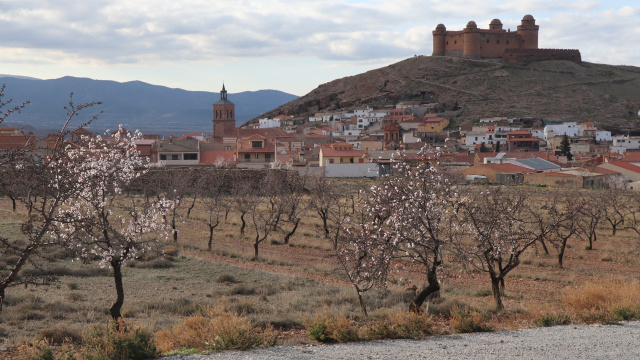 LA CALAHORRA